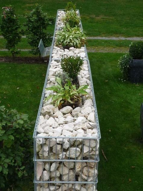 Gabion Wall Design, Gabion Ideas, Plastic Garden Fencing, Gabion Retaining Wall, Gabion Wall, Vertical Garden Diy, Garden Types, Outdoor Gardens Design, Fence Design