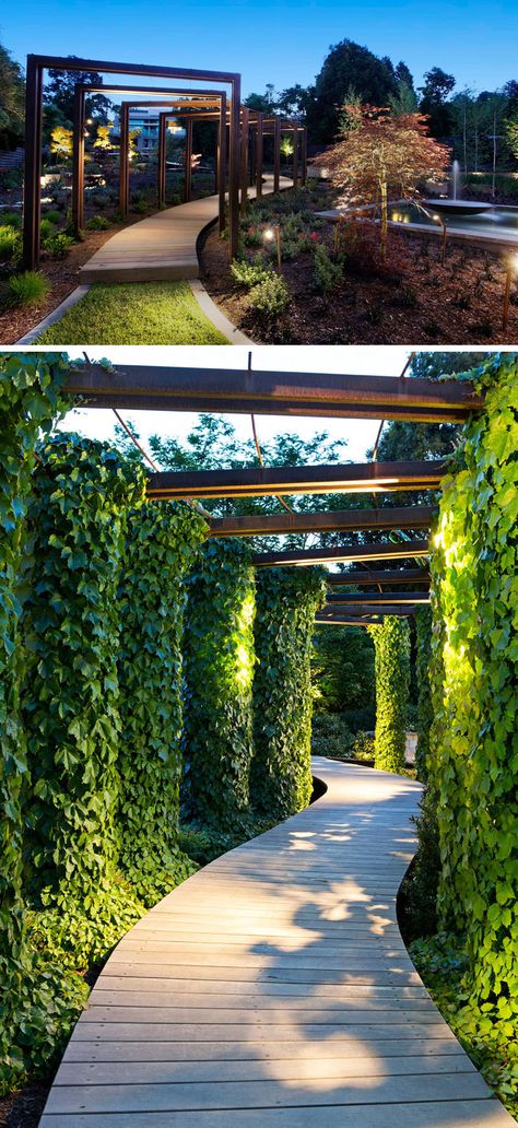 This modern wood pathway is surrounded by ivy covered arches and lit up by overhead lights. Therapy Garden, Wood Pathway, Landscape Lighting Design, Desain Lanskap, Modern Backyard, Landscape Designs, Garden Pathway, Design Exterior, घर की सजावट