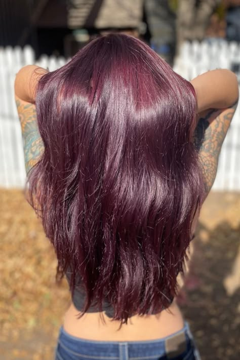 purple hair, hair colors for brunettes, hair colors for dark hair, hair dye, long hair, hairstyles Purple Hair For Brunettes, Arctic Fox Purple Af, Arctic Fox Violet Dream, Arctic Fox Purple, Hair Dye Purple, Hair For Brunettes, Cute Hair Color, Purple Hair Dye, Arctic Fox Hair Dye