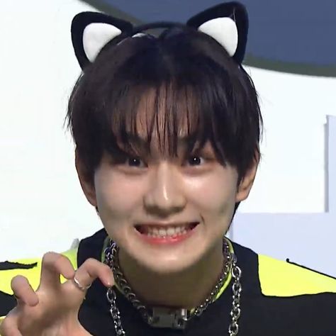 jungwon feed on Twitter: "#jungwon the cutest cat ever… " Jungwon Cat, Cutest Cats Ever, Give And Take, Cat Pose, Cat Pin, Kpop Guys, Kpop Boy, Bias Wrecker, Kpop Groups