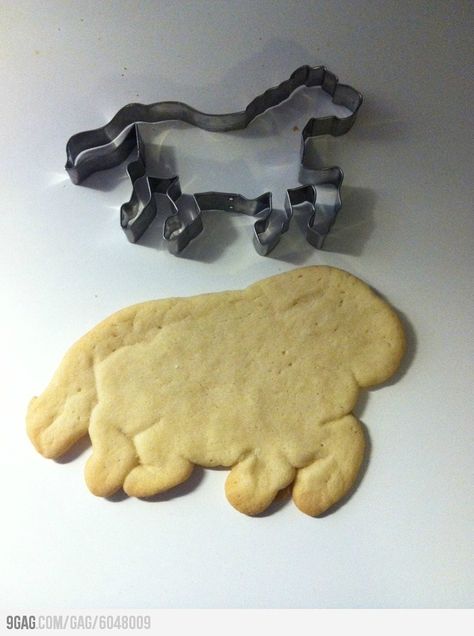 Cookies: Expectation vs Reality  bahahaha Paleo Sugar Cookies, Cooking Fails, Food Fails, Horse Cookies, Expectation Reality, Expectation Vs Reality, Funny Comments, Funny Fails, Monster Cookies