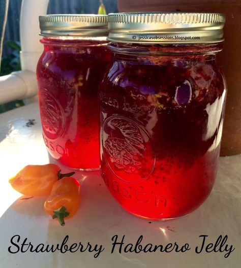 Ever since I started growing my own habanero peppers, I've been trying all kind of different recipes, but this strawberry habanero jelly ... Raspberry Habanero Jelly, Strawberry Jelly Recipe Canning, Habenero Jelly, Habanero Jelly Recipe, Strawberry Jelly Recipes, Habanero Jam, Preserve Recipes, Jalapeno Jelly Recipes, Habanero Recipes