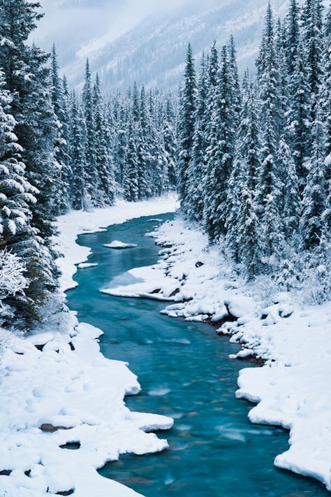 "Bend in the North Saskatchewan River: Banff National Park, Alberta" by Mike Blanchette on Flickr ~ The blue glacial water in the river contrasts with the fresh snow. Canada Winter, Winter Scenery, Winter Beauty, Snow Scenes, Banff National Park, Alam Yang Indah, Alberta Canada, Pine Trees, Winter Landscape