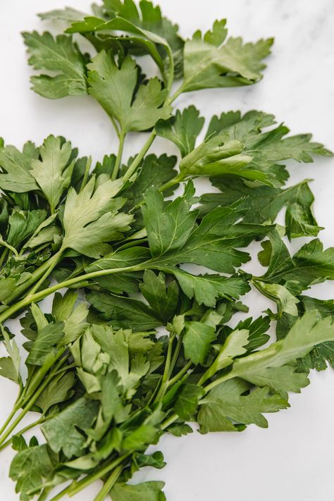 How To Dry Parsley In The Microwave - yourcookingbuddy.com Dry Herbs In Microwave, How To Dry Herbs In Microwave, Drying Herbs In Microwave, How To Dry Parsley, Drying Parsley, Herb Preservation, Freeze Cilantro, Herbs For Inflammation, Freezing Cilantro