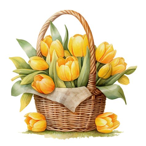 Basket Clipart, Floral Baskets, Yellow Tulips, Junk Journaling, Tulips Flowers, Flower Illustration, Flower Basket, Social Media Posts, Spring Floral