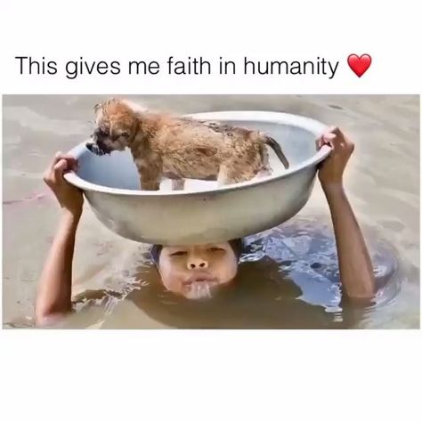 Animal Love❤️ on Instagram: “❤️❤️❤️” Saving Animals, Crying Tears, Animals Amazing, Human Kindness, Faith In Humanity Restored, Humanity Restored, Save Animals, Cute Stories, Amazing Animals