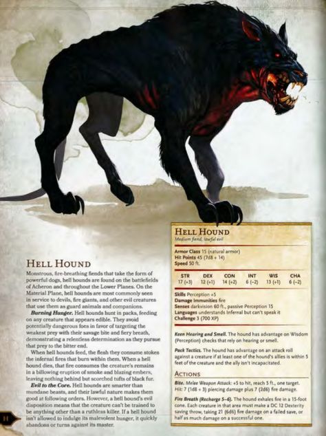 Dnd Monster Manual, Fantasy Creatures Mythology, Hell Hound, Dnd Monster, Monster Manual, Dnd Stats, Mythical Monsters, Dnd Races, Dungeons And Dragons 5e