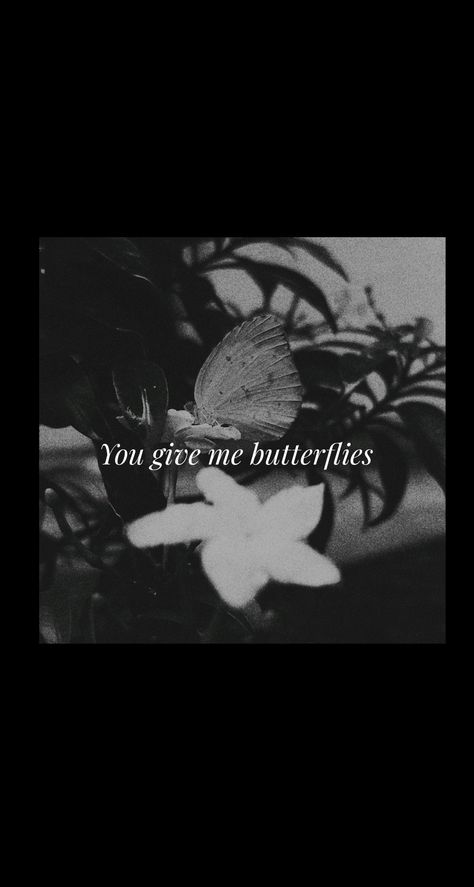 Butterflies, aesthetic vibes, wallpaper I Feel Butterflies In My Stomach, Butterfly In My Stomach Quotes, Butterflies In My Stomach Aesthetic, Butterflies In Stomach Quotes, Butterflies In Stomach Aesthetic, Butterfly In Stomach, Butterfly In My Stomach, Butterflies In Stomach, Butterfly Stomach