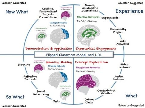 Udl Classroom, Universal Design For Learning, Guiding Principles, Problem Based Learning, Curriculum Design, Project Presentation, Instructional Strategies, Differentiated Instruction, Flipped Classroom