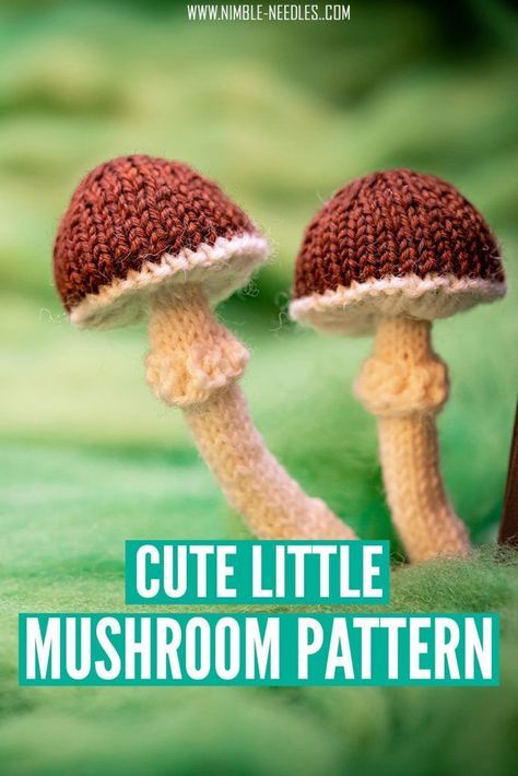 [free] a cute little knitting pattern for mushrooms. These are knit in the round on double pointed needles 2.00 mm / US 0. There are detailed written instructions and a lot of pictures to show you how to knit them step by step available | mushroom knitting pattern  #knitting #knittingpattern #knit #knittingtutorial #dyi #homedecor Knit Mushroom Pattern, Mushroom Knitting, Knit A Blanket, Crochet Bears, Small Knitting Projects, Mushroom Crafts, Little Mushroom, Mushroom Pattern, Crochet Mushroom