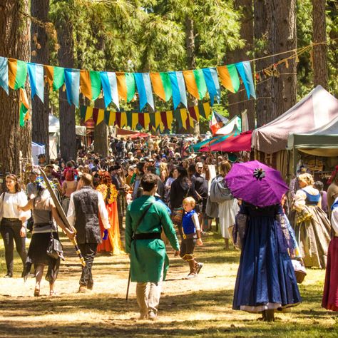 Medieval Fair, Authentic Costumes, Fairy Tea Parties, Tulip Festival, South Lake Tahoe, Live Entertainment, Belly Dancers, Cool Costumes, State Parks