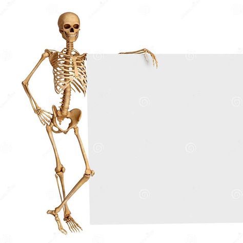 Skeleton is Standing Near Sign Stock Illustration - Illustration of medical, list: 26480282 Sign Illustration, Journal Aesthetic, Baby Cats, Art Illustration, 3d Art, Stock Photography, Skeleton, Stock Illustration, Illustration Art