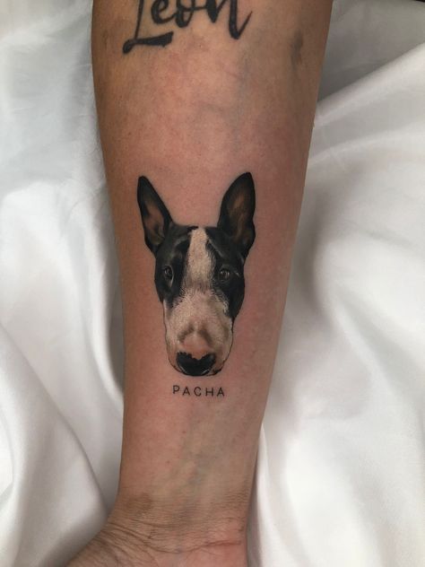 Tattoo
Bull terrier
Microrealismo Tattoo Bull, Bull Terrier Tattoo, Terrier Tattoo, Bull Terrier, I Tattoo, Tatting, My Style, Tattoos, Argentina