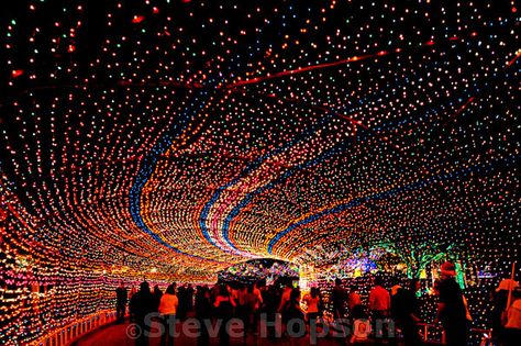 Trail of Lights, Austin Texas    Austin's annual Trail of Lights in Zilker Park, Austin Texas, December 19, 2008. Named one of the Top Ten Holiday Lightings by USA Today, the Trail of Lights Festival has been held annually since 1965. Trail Of Lights, Texas Adventure, Zilker Park, Texas Places, Texas Forever, Loving Texas, Light Trails, Texas Travel, The Grove