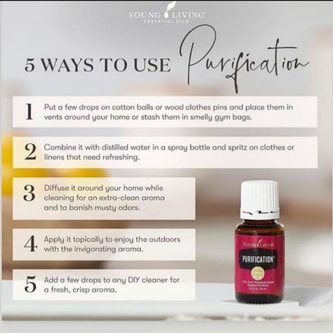 Purification Essential Oil Young Living, Essential Oils Purposes, Purification Essential Oil, Summer Essential Oils, Young Living Recipes, Essential Oil Usage, Essential Oils Collection, Young Living Essential Oils Recipes, Essential Oils Guide