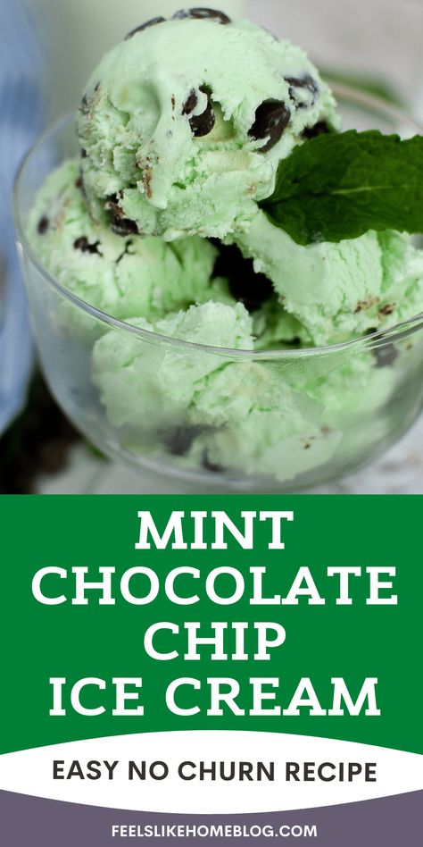 No Churn Mint Chocolate Chip Ice Cream - Feels Like Home™ Healthy Mint Chocolate Chip Ice Cream, Ice Cream Lab, Sherbet Recipes, Best Homemade Ice Cream, Homemade Hot Fudge, Mint Chip Ice Cream, Sorbet Ice Cream, Yogurt Ice Cream, Mint Chocolate Chip Ice Cream