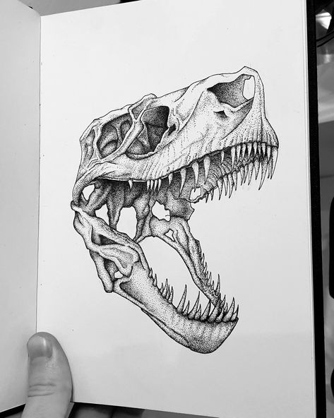 Crocodile Skull Drawing, Trex Head Tattoo, Trex Skull, Dinosaur Head Drawing, Dinosaur Skeleton Drawing, Trex Skull Tattoo, Dinosaur Skull Drawing, Dinosaur Skull Tattoo, Dinosaur Skull