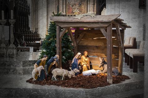 Jesus Born Christmas, Christmas Crib Ideas, Nativity Scene Display, Christmas Crib, Nativity Church, Christmas Stock Photos, Church Easter Decorations, Merry Christmas Decoration, Christmas Nativity Scene