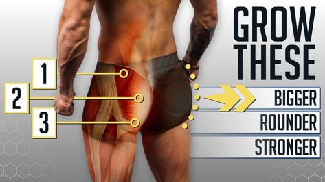 The 4 BEST Glutes Exercises Ft. Bret Contreras (GYM OR HOME) Jeremy Ethier, Glutes Workout Men, Build Glutes, Bret Contreras, Glutes Exercises, Best Glute Exercises, Glute Muscles, Lift Workout, Gym Workout Guide