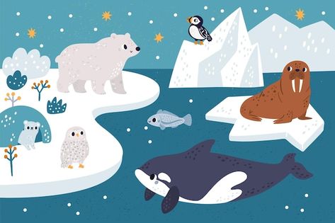 Arctic animals northern oceanic landscap... | Premium Vector #Freepik #vector #polar #arctic #glacier #iceberg Bear Swimming, Whale Swimming, Alaska Mountains, Penguin Cartoon, White Polar Bear, Polar Animals, Water Illustration, Killer Whale, Arctic Animals