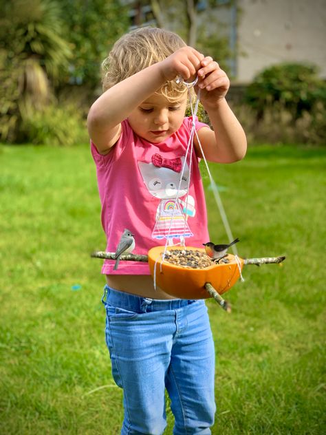 Pumpkin Bird Feeder - Family Days Tried And Tested Forest School Pumpkin Activities, Pumpkin Bird Feeder For Kids, Kids Bird Feeder Crafts, Pumpkin Bird Feeder, Pumpkin Bird, Bird Pumpkin, Prek Homeschool, Make A Bird, Make A Bird Feeder