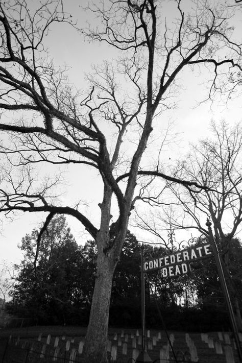 Cemetery Photography, Southern History, Cemeteries Photography, Cemetery Monuments, Civil Wars, Mississippi Delta, Grave Markers, Grave Marker, Grits