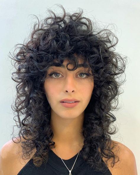 @mo_safi_ on Instagram: “Pure hair @mo_safi_” Edgy Curly Haircuts Medium, Wolfcut Hair Curly, Curly Shaggy Mullet, Curly Shag Mullet, Curl Mullet, 70s Curly Hair, Punk Curly Hair, Shag Mullet Curly Hair, 80s Curly Hair