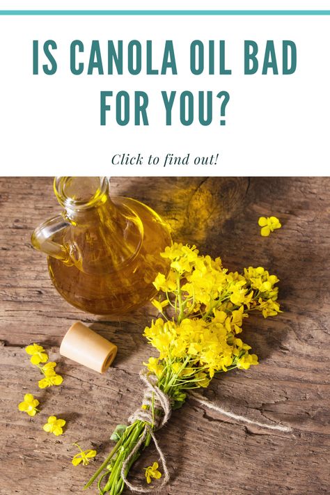 Is canola oil bad for you? What is canola oil made from? Should you be eating it at all? And what about olive oil or animal fat? Canola Plant, Plant Sterols, Farm Fresh Recipes, Gmo Foods, Fresh Recipes, Edible Oil, Canola Oil, Farm Fresh, Extra Virgin Olive Oil