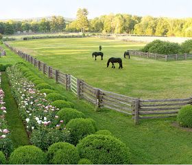 Dream Stables, Dream Horse Barns, Drømme Liv, Free Horses, Future Farms, Desain Lanskap, Dream Barn, Horse Ranch, Horse Stables