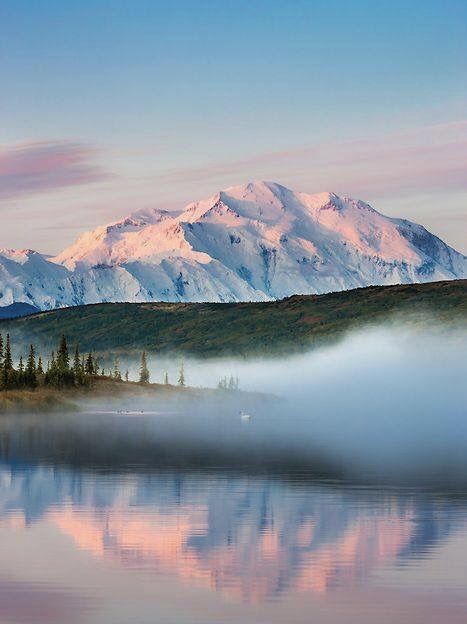 Denali at dawn Mt Denali, Denali Mountain, Alaska Denali, Denali Alaska, Alaska National Parks, Trumpeter Swan, Alaska Usa, Morning Fog, Calm Waters