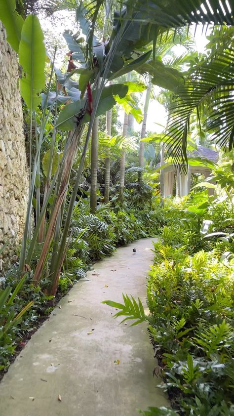 Indoor Garden Decor, Tropical Backyard Landscaping, Bali Garden, Tropical Landscape Design, Gardening Aesthetic, Pathway Landscaping, Tropical Garden Design, Jungle Gardens, Tropical Backyard