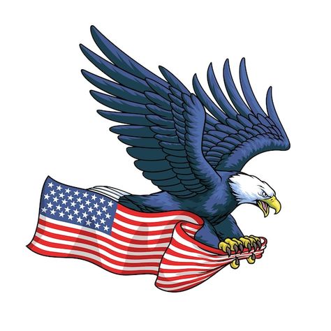 Vector american eagle hold the united st... | Premium Vector #Freepik #vector #eagle-mascot #eagle #bald-eagle #hawk Eagle Holding Flag, Barbed Wire Art, Fly Drawing, American Logo, Eagle Vector, Eagle Mascot, United States Flag, Flag Vector, Vector Drawing