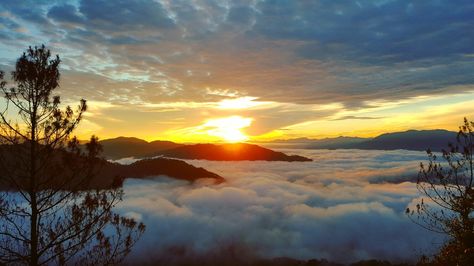 Sea of clouds. Sagada. Kiltepan sunrise Sagada Philippines Photography, Sagada Philippines, Sagada, Sea Of Clouds, Landscape Reference, Sa Pa, Mountain Scenery, Best View, Dont Touch My Phone Wallpapers