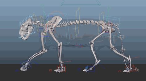 Since I developed my quadruped rigging tool last couple of months.I have been learning using Ziva Dynamics working on CFX stage(tissue and skin simulation).It' Lion Creature, Blender Character Modeling, Character Rigging, Low Poly Games, Tech Art, Animated Animals, Anatomy For Artists, Lion Art, Animation Reference