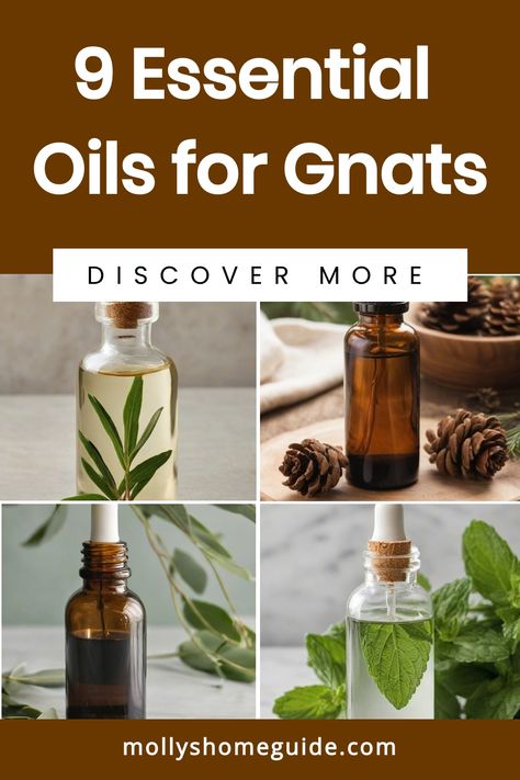 Discover the power of essential oils for gnats with these effective DIY gnat repellent recipes. Say goodbye to those pesky bugs and keep your plants safe with natural solutions like lavender, eucalyptus, geranium, lemongrass, and more. Control gnats in your home or garden by making your own bug spray using essential oils that repel and kill fungus gnats. Protect your space and enjoy a pest-free environment with these homemade remedies that are easy to make. Gnat Spray, Oil Image, Citronella Essential Oil, Natural Repellent, Clove Essential Oil, Plant Pests, Tee Tree, Cedarwood Essential Oil, Patchouli Essential Oil