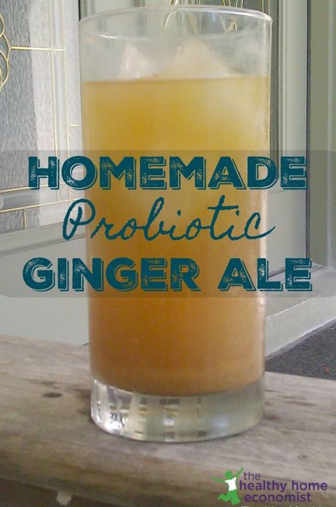 Traditional Homemade Ginger Ale Recipe | The Healthy Home Economist Probiotics Benefits, Ginger Ale Recipe, Drink Board, Homemade Ginger Ale, Easy Drinks To Make, Ale Recipe, Fruit Health Benefits, Homemade Soda, Probiotic Drinks