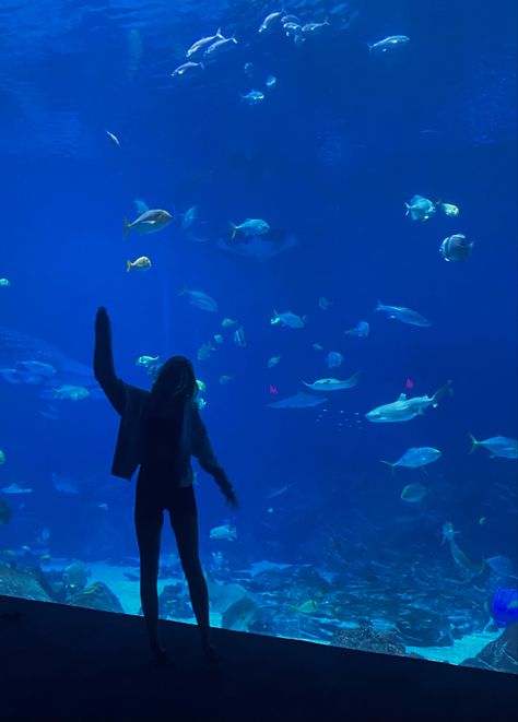 #aquarium #aesthetic #blue #girl #travel #atlanta Aquarium Photoshoot, Atlanta Aquarium, Osaka Aquarium, Aquarium Aesthetic, Osaka Travel, Aquarium Pictures, Aquarium Landscape, Blue Girl, Travel Japan