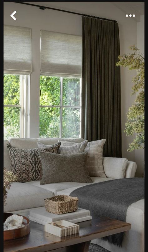 Pillow Combinations, Havenly Living Room, Amber Interiors Design, Shoppe Amber Interiors, Condo Decorating, Interior Windows, Amber Interiors, Armchair Furniture, Living Room Diy