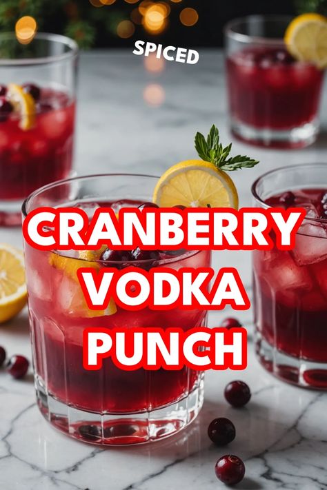 A photo of a  Spiced Cranberry Vodka Punch which is a type of Christmas vodka cocktails Vodka And Cranberry Drinks Cocktails, Cranberry Vodka Drinks, Winter Vodka Drinks, Vodka Cocktails Christmas, Christmas Vodka Punch, Holiday Shots Alcohol, Batch Christmas Cocktail, Cranberry Vodka Recipe Cocktails, Christmas Cocktails Punch