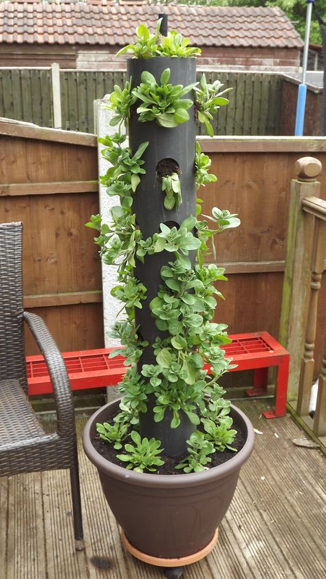 Design Garden Ideas, Vertical Vegetable Garden, Gardening Design, Gardening Landscaping, Flower Tower, House Simple, Vertical Herb Garden, Vertical Garden Diy, Tower Garden