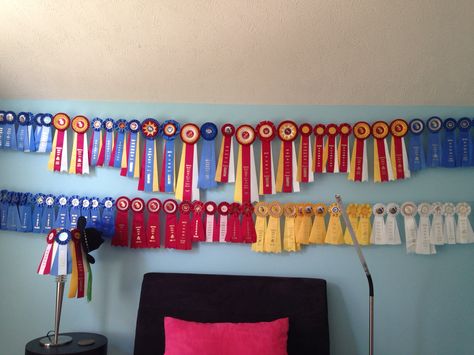 Wall of horse show ribbons How To Hang Horse Show Ribbons, Horse Ribbon Display Ideas Wall Hangings, Horse Ribbon Display Ideas, Zara Bedroom, Rosette Display, Horse Ribbon Display, Ribbon Quilts, Show Ribbon Display, Ribbon Board