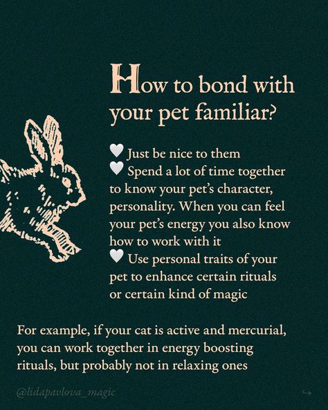 Tell me about your familiars 🐾 Familiars Witchcraft, Witchcraft Inspiration, Witch Stuff, Animal Symbolism, Boost Energy, Tell Me, To Tell, Knowing You, Witch