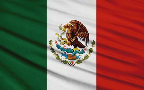 Bandera de México. Que significan sus colores North America Flag, Danny Ocean, Min Suga, Baby Shark, Animals Beautiful, Class Ring, Floral Rings, North America, Avengers