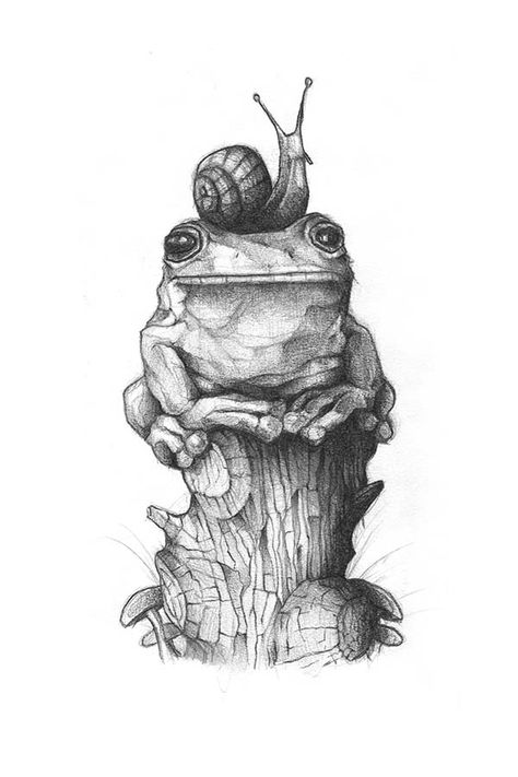 Snail Tattoo, Tattoo Nature, Illustration Kunst, Frog Illustration, Nature Tattoo, Frog Tattoos, Frog Drawing, Art Mignon, Fashion Art Prints