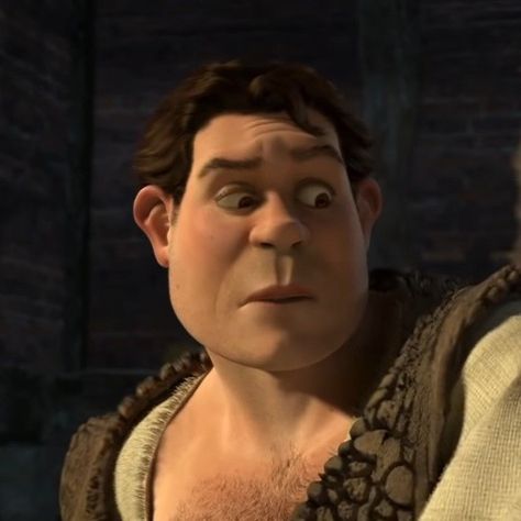 Human Shrek, Cartoon Princess, Movie Series, Favorite Movie, Shrek, Dreamworks, Mens Hairstyles, Favorite Movies, Hairstyles