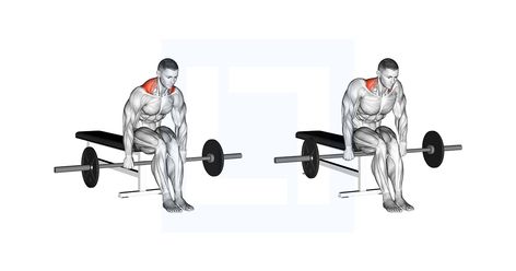 Shoulder Shrug, Traps Workout, Six Pack Abs Workout, Barbell Workout, Build Muscle Mass, Neck And Shoulder Pain, Heavy Weights, Gym Routine, Six Pack Abs