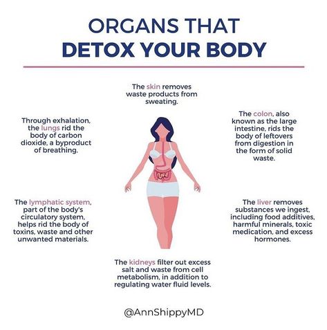 Heavy Metal Detoxification, Medical Medium, Food Additives, Cleveland Clinic, Remove Toxins, Circulatory System, Natural Detox, Detox Your Body, Health Education