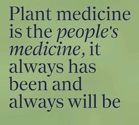 Herbal Healing Aesthetic, Plant Medicine Quotes, Herbalist Quotes, Herbalism Quotes, Natural Medicine Quotes, Herbal Quotes, Herbalist Aesthetic, Holistic Healing Quotes, Medicine Garden