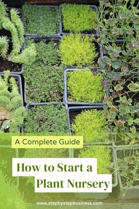 Plant Nursery Layout Plan, Plants Nursery Ideas, Starting A Plant Nursery Business, Starting A Nursery Business, Indoor Plant Nursery Ideas, Backyard Business Ideas, Plant Selling Business, Backyard Nursery Business, Selling Plant Starts