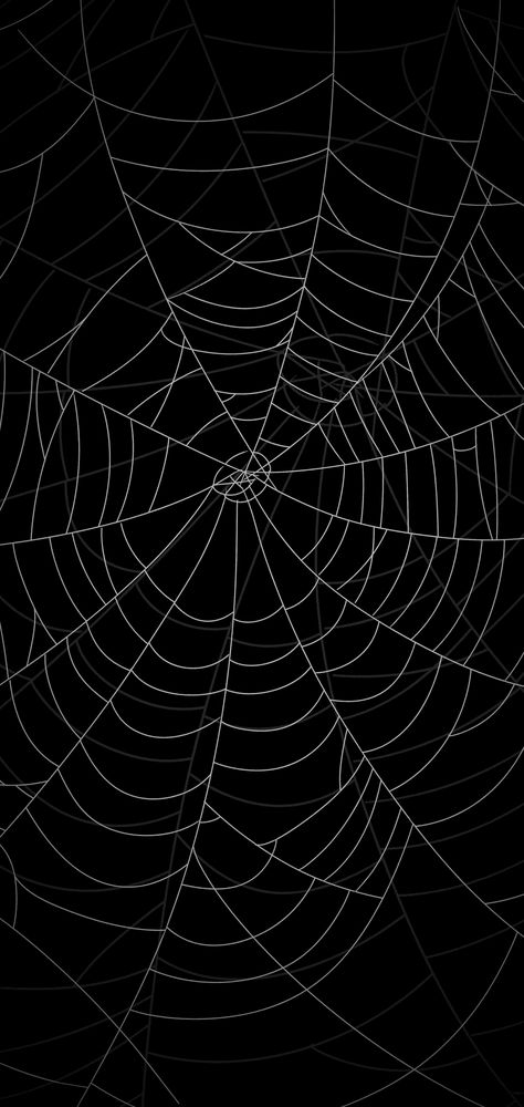 Black Spooky Background, Phone Border Wallpaper, Black Spider Web Wallpaper, Spoder Web, Spider Web Aesthetic, Spiderweb Wallpaper, Spider Web Wallpaper, Spiderweb Background, Fall Ios